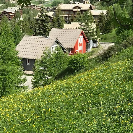 Apartment Bas De Chalet A Station De Ski La Foux D'Allos